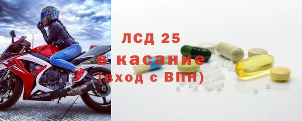 ГАЛЛЮЦИНОГЕННЫЕ ГРИБЫ Аркадак