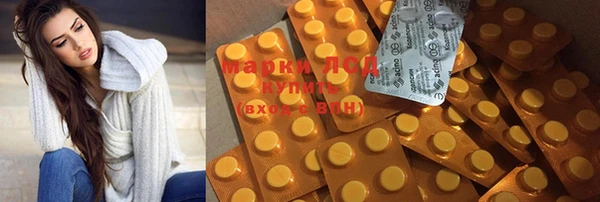 ГАЛЛЮЦИНОГЕННЫЕ ГРИБЫ Аркадак