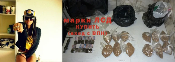 гидра Арсеньев
