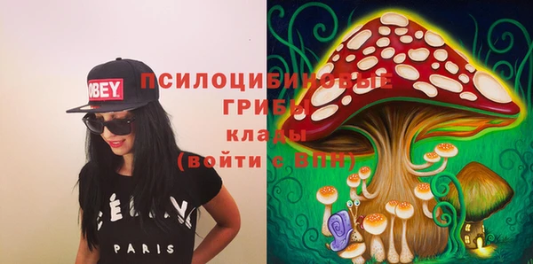 ГАЛЛЮЦИНОГЕННЫЕ ГРИБЫ Аркадак