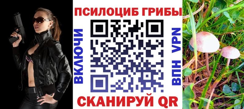 Галлюциногенные грибы Cubensis  гидра ссылка  Артёмовск 